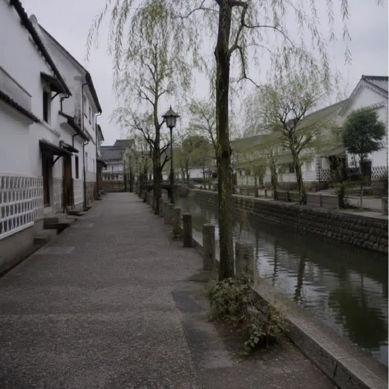 イメージ画像：柳の並ぶ川沿いの道と、白壁の町並み